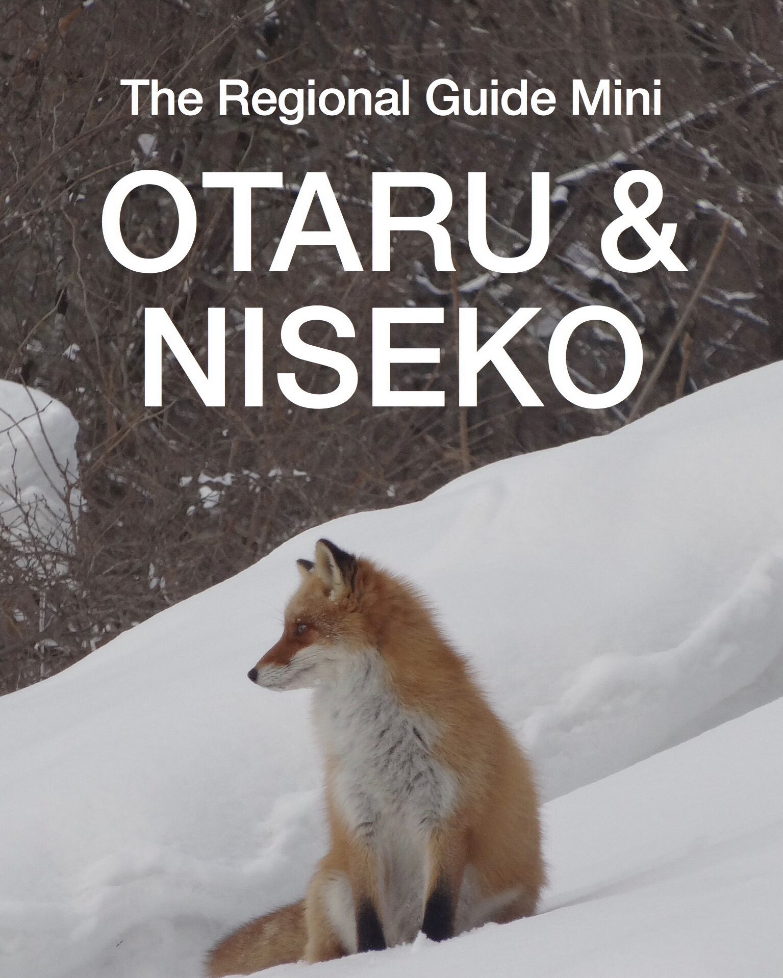 Otaru and Niseko Travel Guide