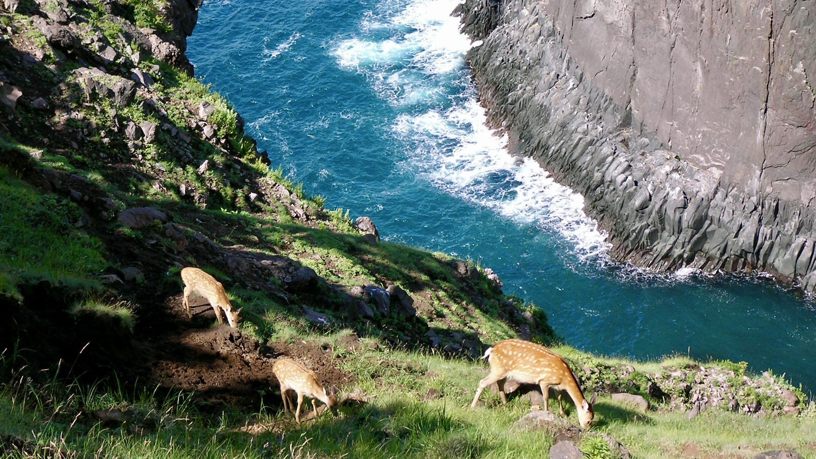Shiretoko Travel | Things to Do Shiretoko Travel | Things to Do