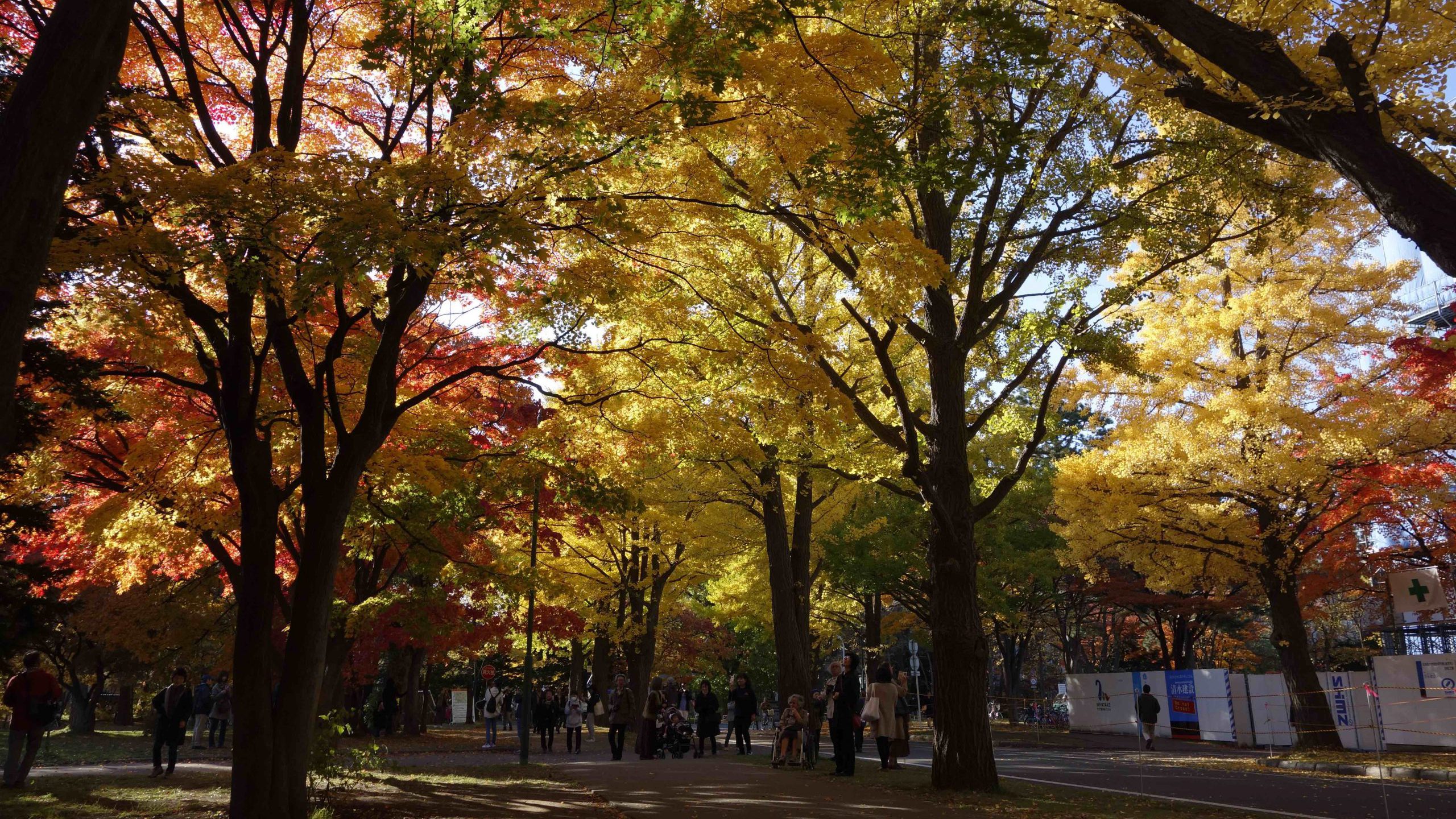 Walking Across Hokkaido University Walking Across Hokkaido University