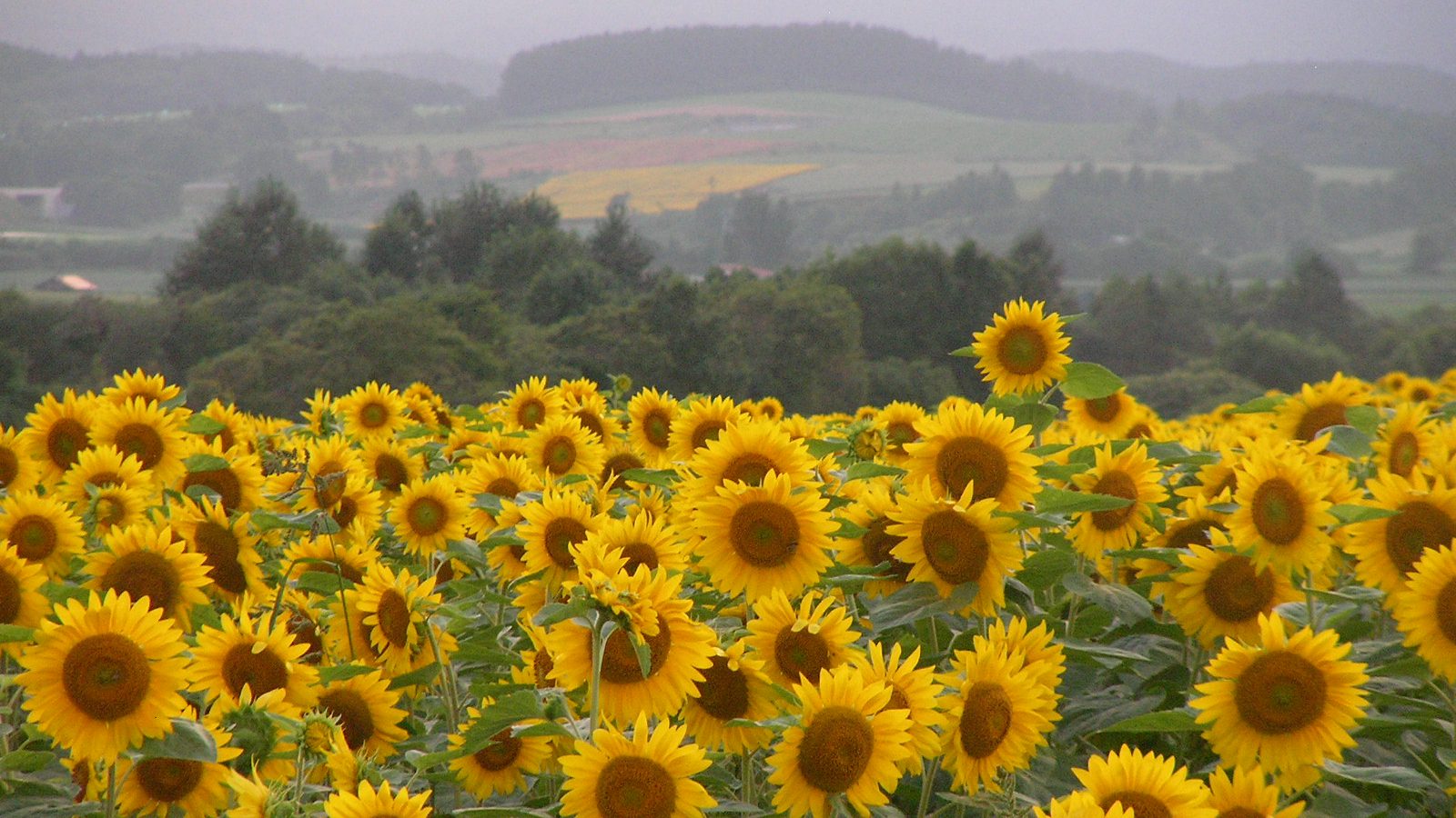 Nayoro Basin Travel | Things to Do Nayoro Basin Travel | Things to Do