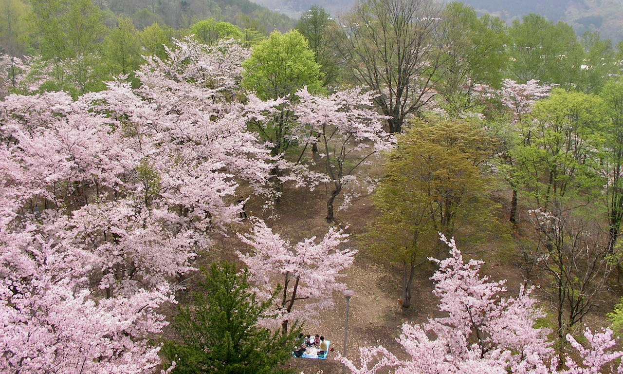 美唄満喫ガイド | 桜・美術館・温泉・焼き鳥