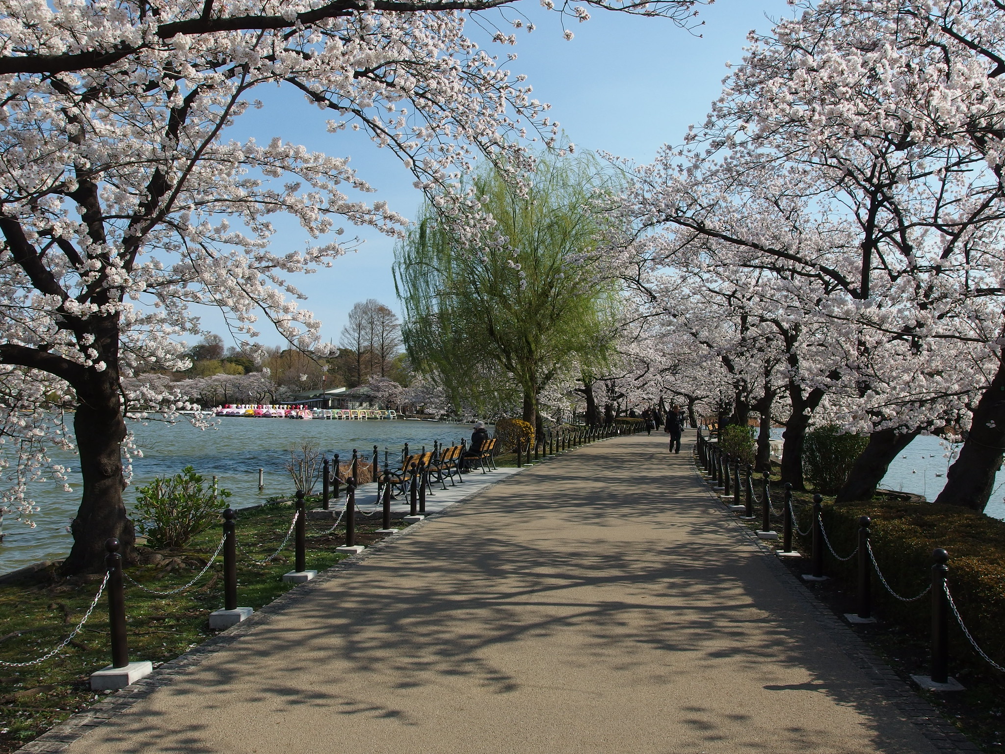 青春18きっぷ・北海道＆東日本パスで行く東京・関東の旅 | おすすめモデルコース