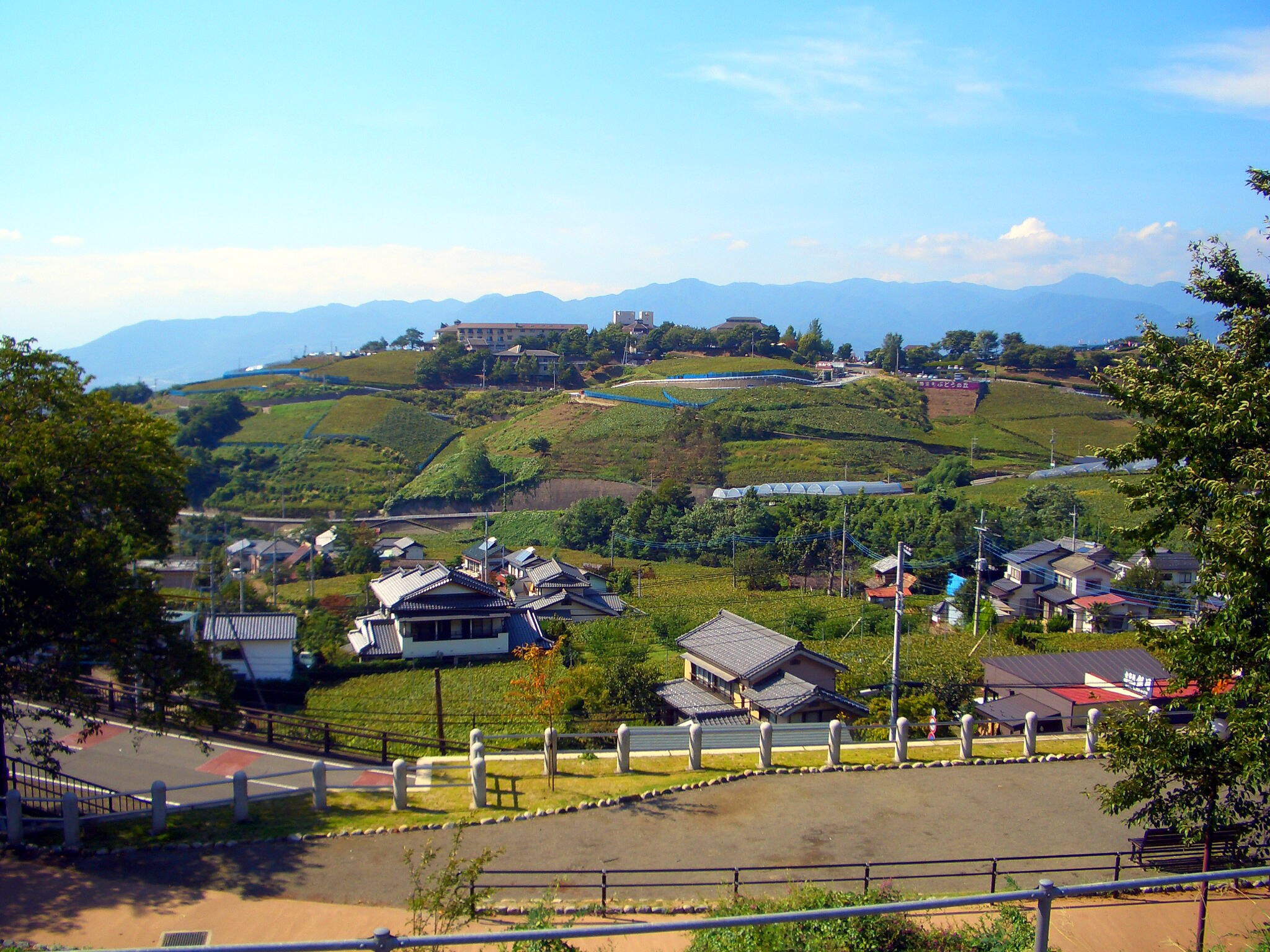 東京発 青春18きっぷで行く甲府・勝沼ぶどう郷日帰りの旅 | 北海道＆東日本パス利用可