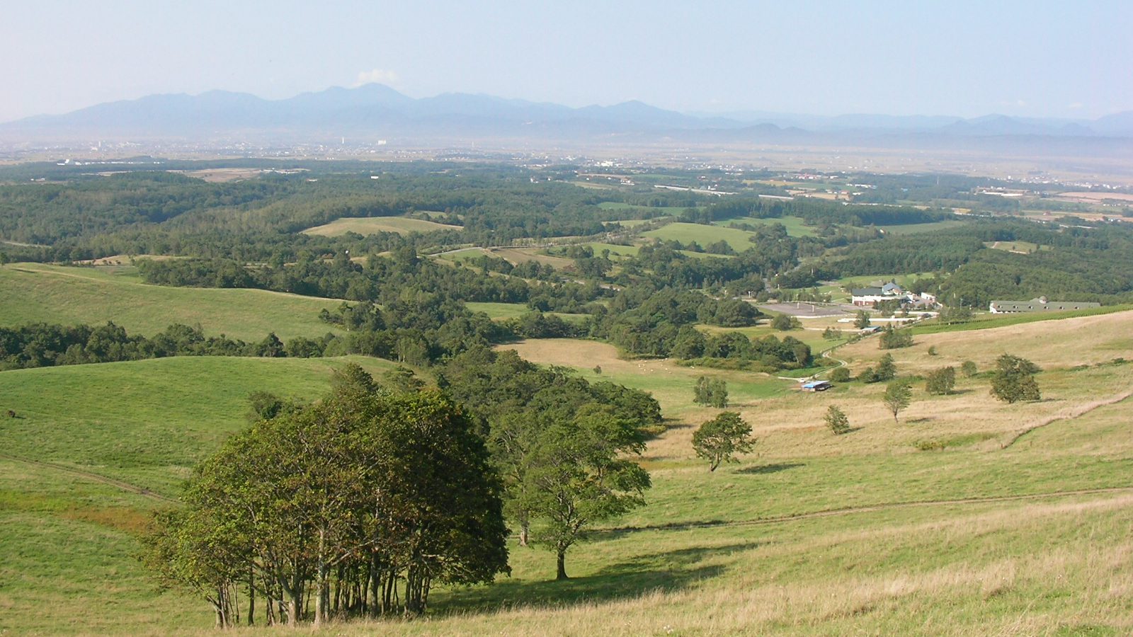 JR瀧川車站: 儲物櫃和行李寄放完全指南